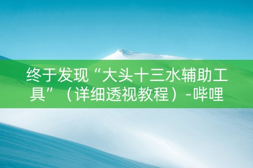 终于发现“大头十三水辅助工具”（详细透视教程）-哔哩哔哩