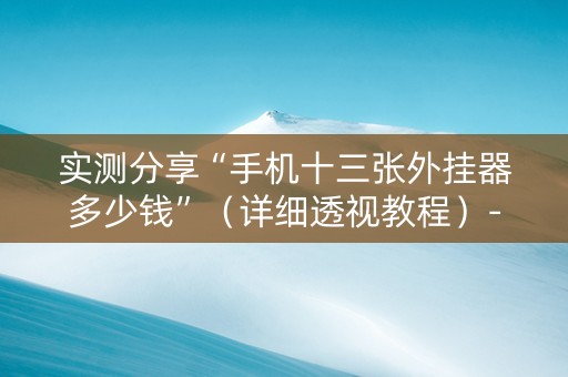 实测分享“手机十三张外挂器多少钱”（详细透视教程）-哔哩哔哩
