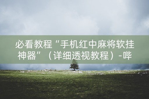 必看教程“手机红中麻将软挂神器”（详细透视教程）-哔哩哔哩