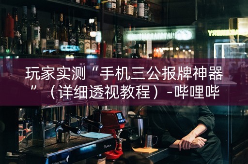 玩家实测“手机三公报牌神器”（详细透视教程）-哔哩哔哩