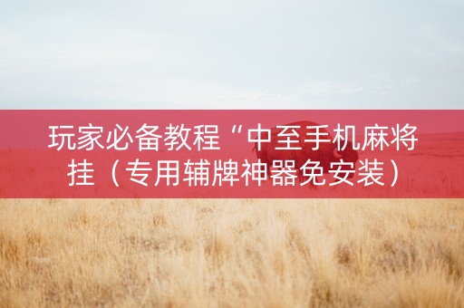 玩家必备教程“中至手机麻将挂（专用辅牌神器免安装）