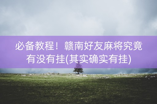 必备教程！赣南好友麻将究竟有没有挂(其实确实有挂)