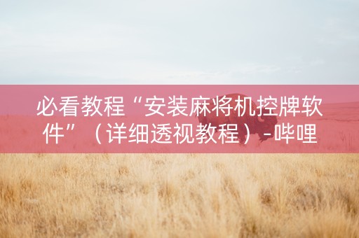 必看教程“安装麻将机控牌软件”（详细透视教程）-哔哩哔哩