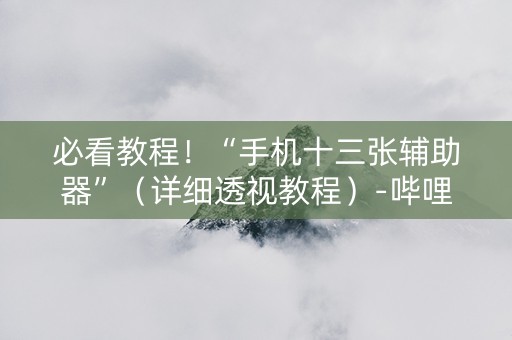 必看教程！“手机十三张辅助器”（详细透视教程）-哔哩哔哩