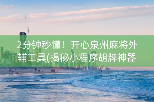 2分钟秒懂！开心泉州麻将外辅工具(揭秘小程序胡牌神器)