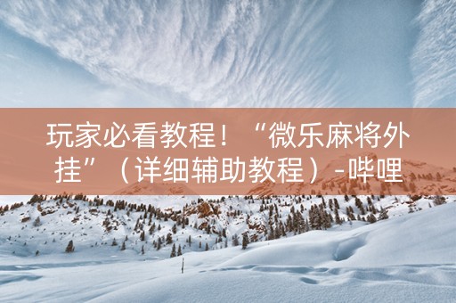 玩家必看教程！“微乐麻将外挂”（详细辅助教程）-哔哩哔哩
