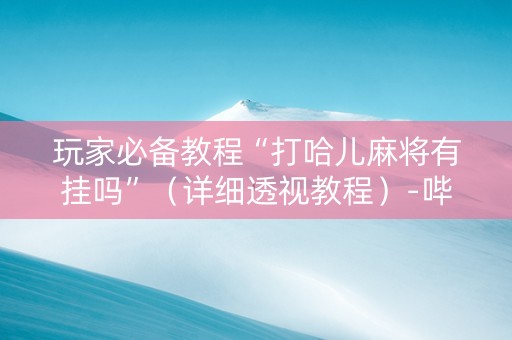 玩家必备教程“打哈儿麻将有挂吗”（详细透视教程）-哔哩哔哩
