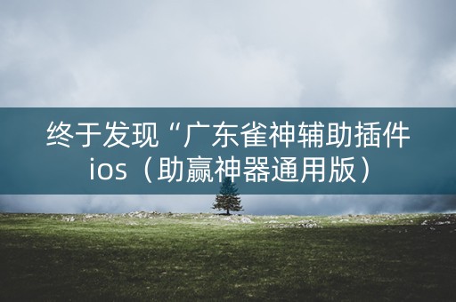 终于发现“广东雀神辅助插件ios（助赢神器通用版）