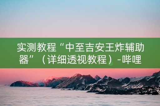 实测教程“中至吉安王炸辅助器”（详细透视教程）-哔哩哔哩