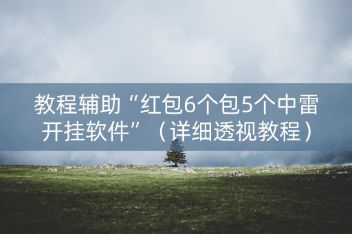 教程辅助“红包6个包5个中雷开挂软件”（详细透视教程）-哔哩哔哩