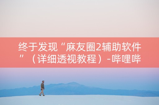 终于发现“麻友圈2辅助软件”（详细透视教程）-哔哩哔哩