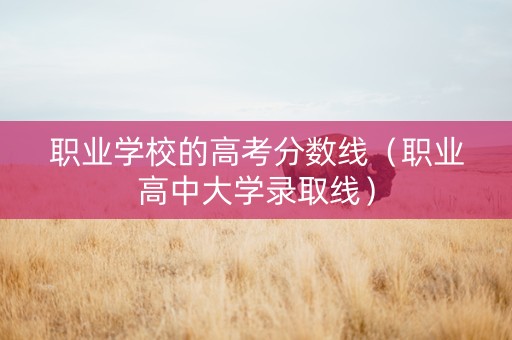 职业学校的高考分数线（职业高中大学录取线）