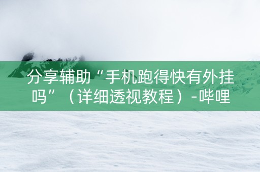 分享辅助“手机跑得快有外挂吗”（详细透视教程）-哔哩哔哩