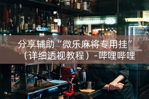 分享辅助“微乐麻将专用挂”（详细透视教程）-哔哩哔哩