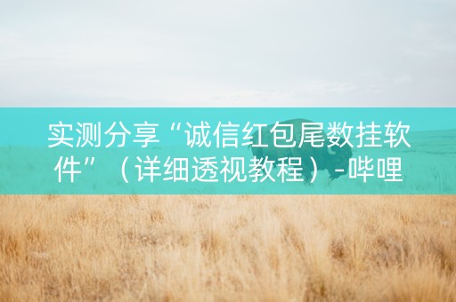 实测分享“诚信红包尾数挂软件”（详细透视教程）-哔哩哔哩