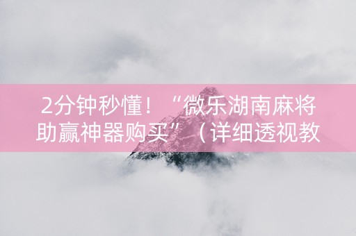 2分钟秒懂！“微乐湖南麻将助赢神器购买”（详细透视教程）-哔哩哔哩