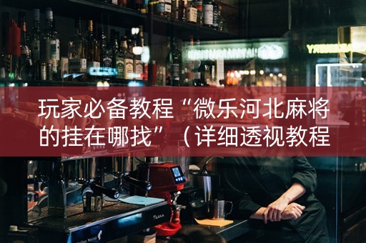 玩家必备教程“微乐河北麻将的挂在哪找”（详细透视教程）-哔哩哔哩