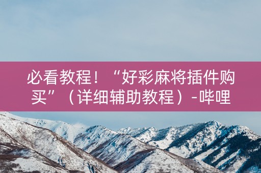 必看教程！“好彩麻将插件购买”（详细辅助教程）-哔哩哔哩