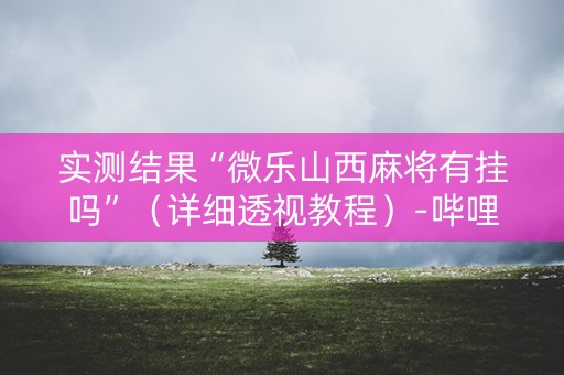 实测结果“微乐山西麻将有挂吗”（详细透视教程）-哔哩哔哩