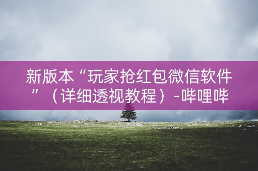 新版本“玩家抢红包微信软件”（详细透视教程）-哔哩哔哩