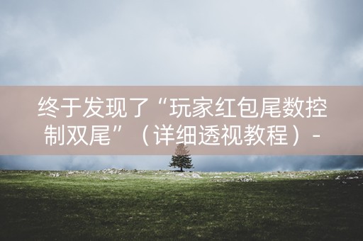 终于发现了“玩家红包尾数控制双尾”（详细透视教程）-哔哩哔哩