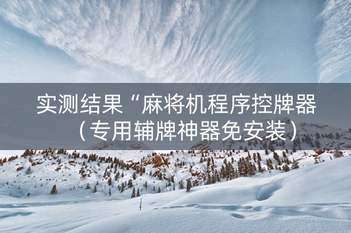 实测结果“麻将机程序控牌器（专用辅牌神器免安装）