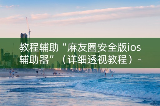 教程辅助“麻友圈安全版ios辅助器”（详细透视教程）-哔哩哔哩