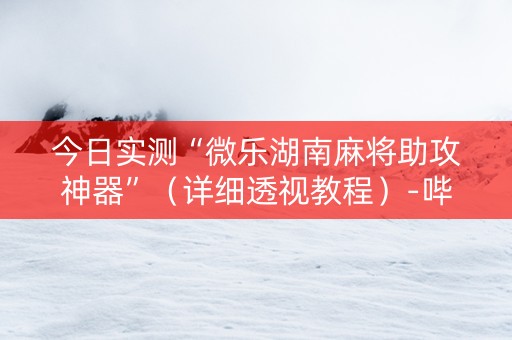 今日实测“微乐湖南麻将助攻神器”（详细透视教程）-哔哩哔哩
