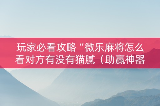 玩家必看攻略“微乐麻将怎么看对方有没有猫腻（助赢神器通用版）