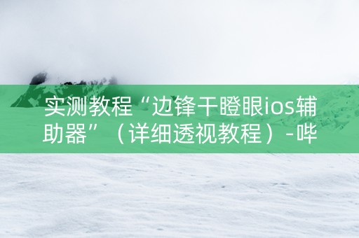 实测教程“边锋干瞪眼ios辅助器”（详细透视教程）-哔哩哔哩