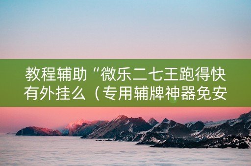 教程辅助“微乐二七王跑得快有外挂么（专用辅牌神器免安装）