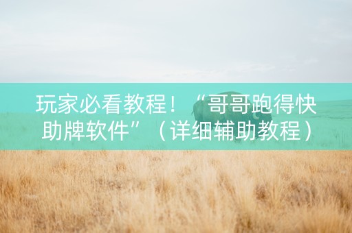 玩家必看教程！“哥哥跑得快助牌软件”（详细辅助教程）-哔哩哔哩