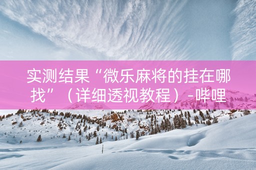 实测结果“微乐麻将的挂在哪找”（详细透视教程）-哔哩哔哩