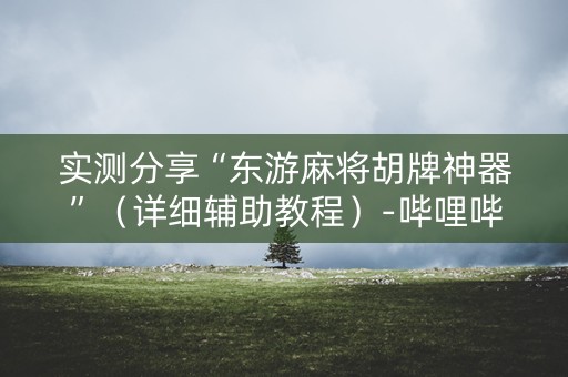 实测分享“东游麻将胡牌神器”（详细辅助教程）-哔哩哔哩