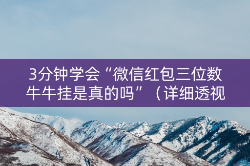 3分钟学会“微信红包三位数牛牛挂是真的吗”（详细透视教程）-哔哩哔哩