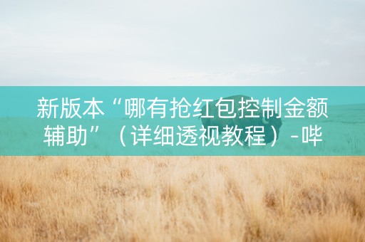 新版本“哪有抢红包控制金额辅助”（详细透视教程）-哔哩哔哩
