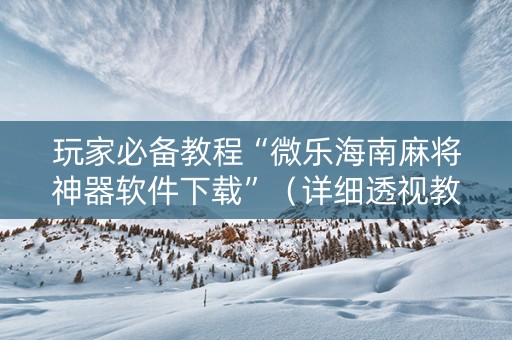 玩家必备教程“微乐海南麻将神器软件下载”（详细透视教程）-哔哩哔哩