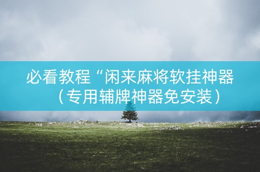 必看教程“闲来麻将软挂神器（专用辅牌神器免安装）