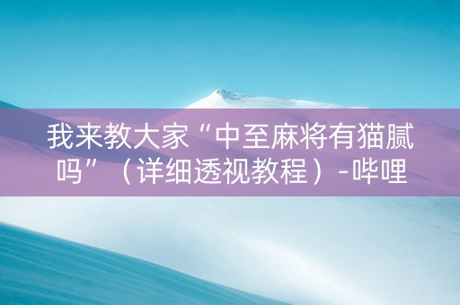 我来教大家“中至麻将有猫腻吗”（详细透视教程）-哔哩哔哩
