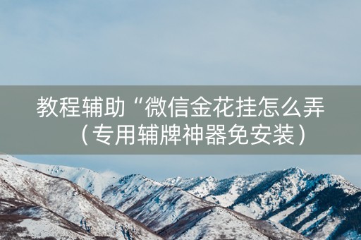 教程辅助“微信金花挂怎么弄（专用辅牌神器免安装）