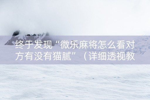终于发现“微乐麻将怎么看对方有没有猫腻”（详细透视教程）-哔哩哔哩