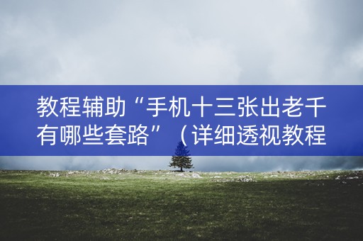 教程辅助“手机十三张出老千有哪些套路”（详细透视教程）-哔哩哔哩