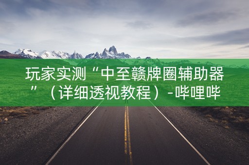 玩家实测“中至赣牌圈辅助器”（详细透视教程）-哔哩哔哩