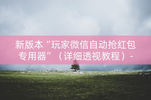 新版本“玩家微信自动抢红包专用器”（详细透视教程）-哔哩哔哩