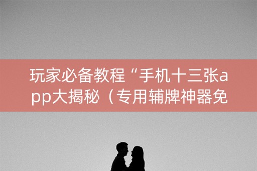 玩家必备教程“手机十三张app大揭秘（专用辅牌神器免安装）