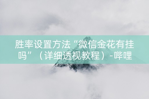 胜率设置方法“微信金花有挂吗”（详细透视教程）-哔哩哔哩