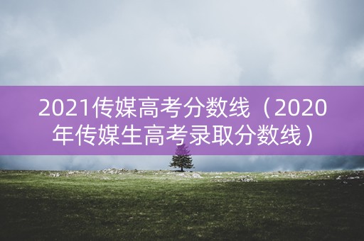 2021传媒高考分数线（2020年传媒生高考录取分数线）