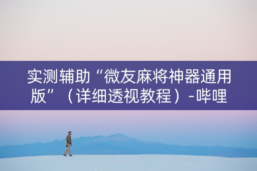 实测辅助“微友麻将神器通用版”（详细透视教程）-哔哩哔哩