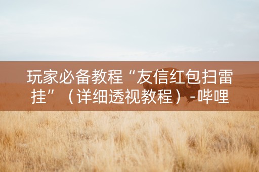 玩家必备教程“友信红包扫雷挂”（详细透视教程）-哔哩哔哩