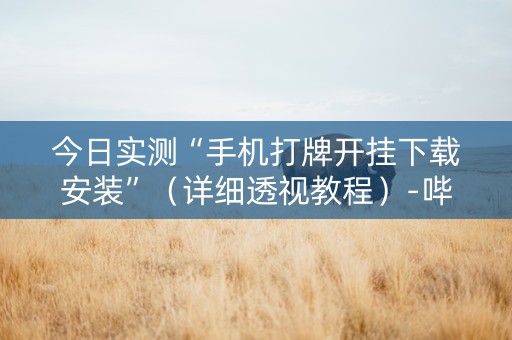 今日实测“手机打牌开挂下载安装”（详细透视教程）-哔哩哔哩